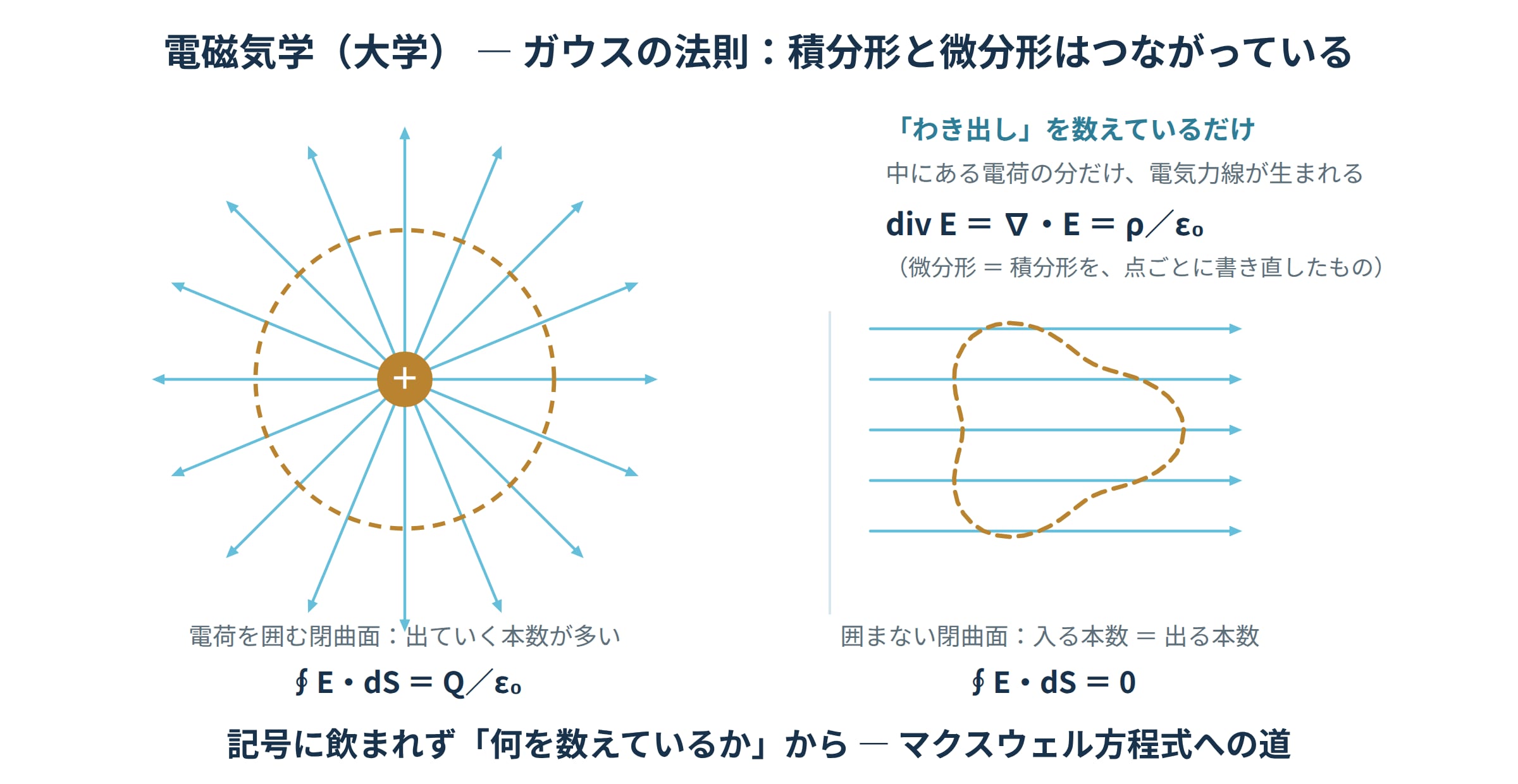 ガウスの法則の図解。電荷を囲む閉曲面では出ていく電気力線が正味で残り、電荷を囲まない閉曲面では入る本数と出る本数が等しく相殺されることを示す