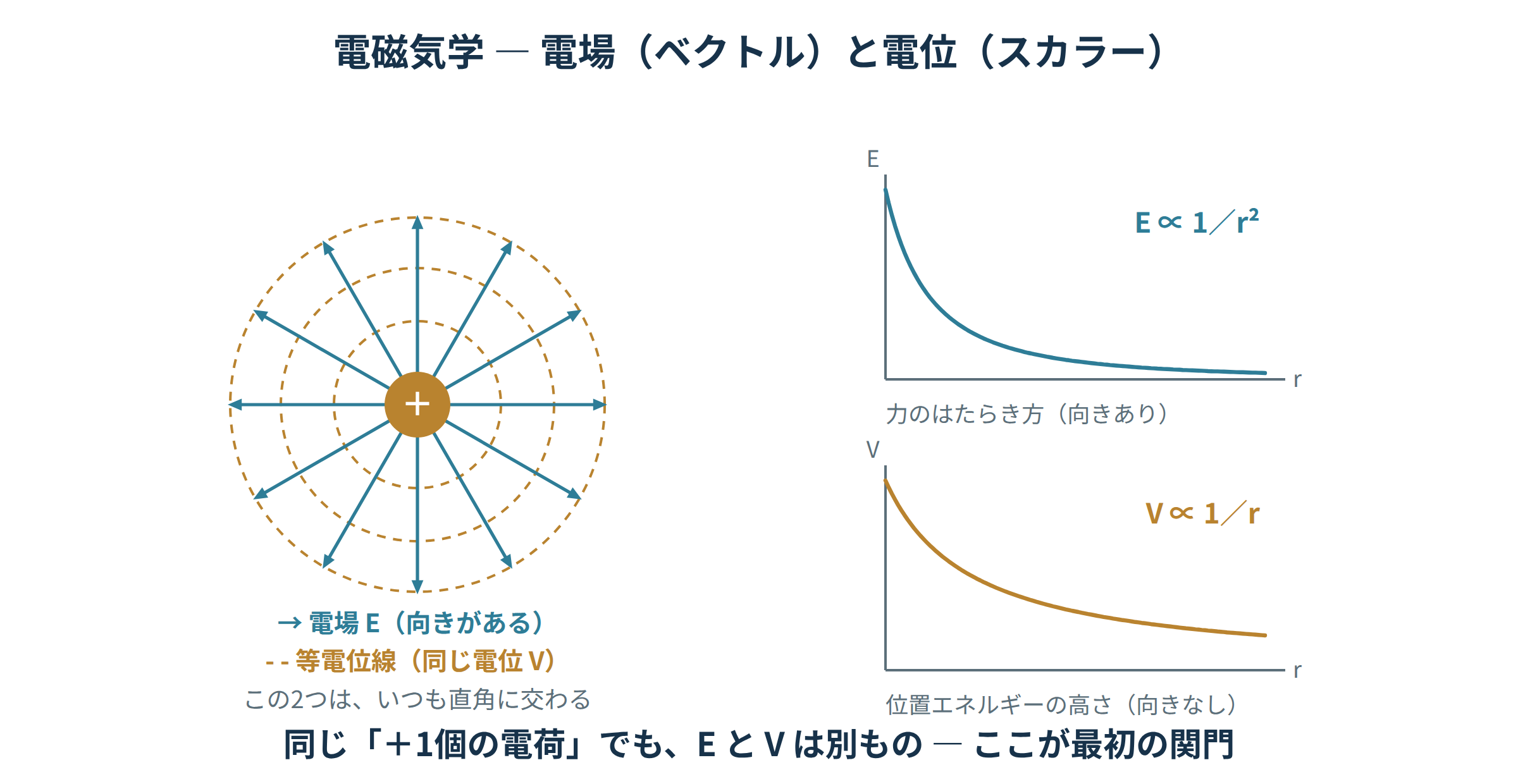 点電荷のまわりの電場と等電位線の図解。電場は外向きの矢印(向きをもつ量)、等電位線は同心円の破線(高さにあたる量)で描かれ、両者がつねに直角に交わることを示す