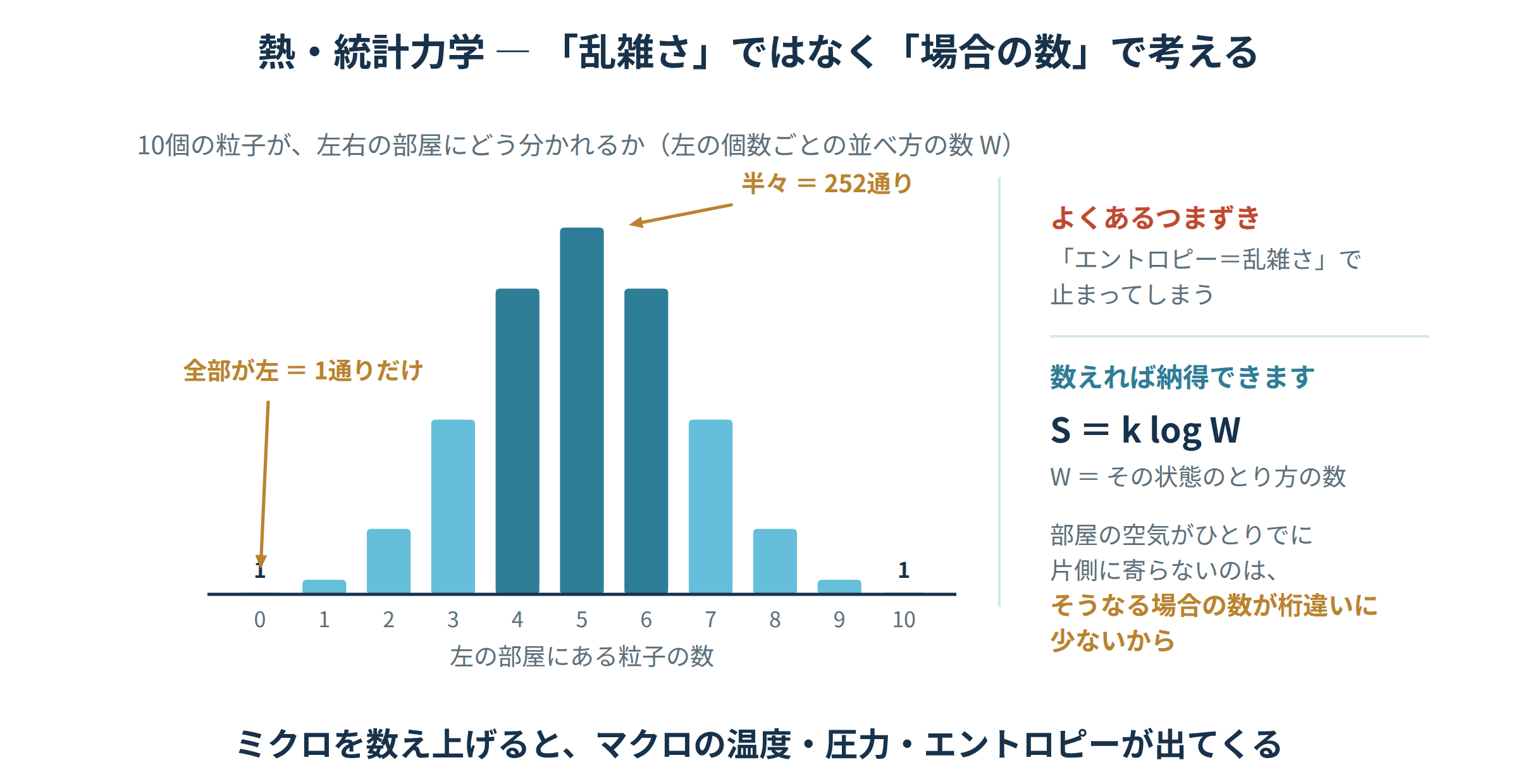 10個の粒子が左右の部屋に分かれる場合の数の分布と、エントロピー S＝k log W の関係を示した図解