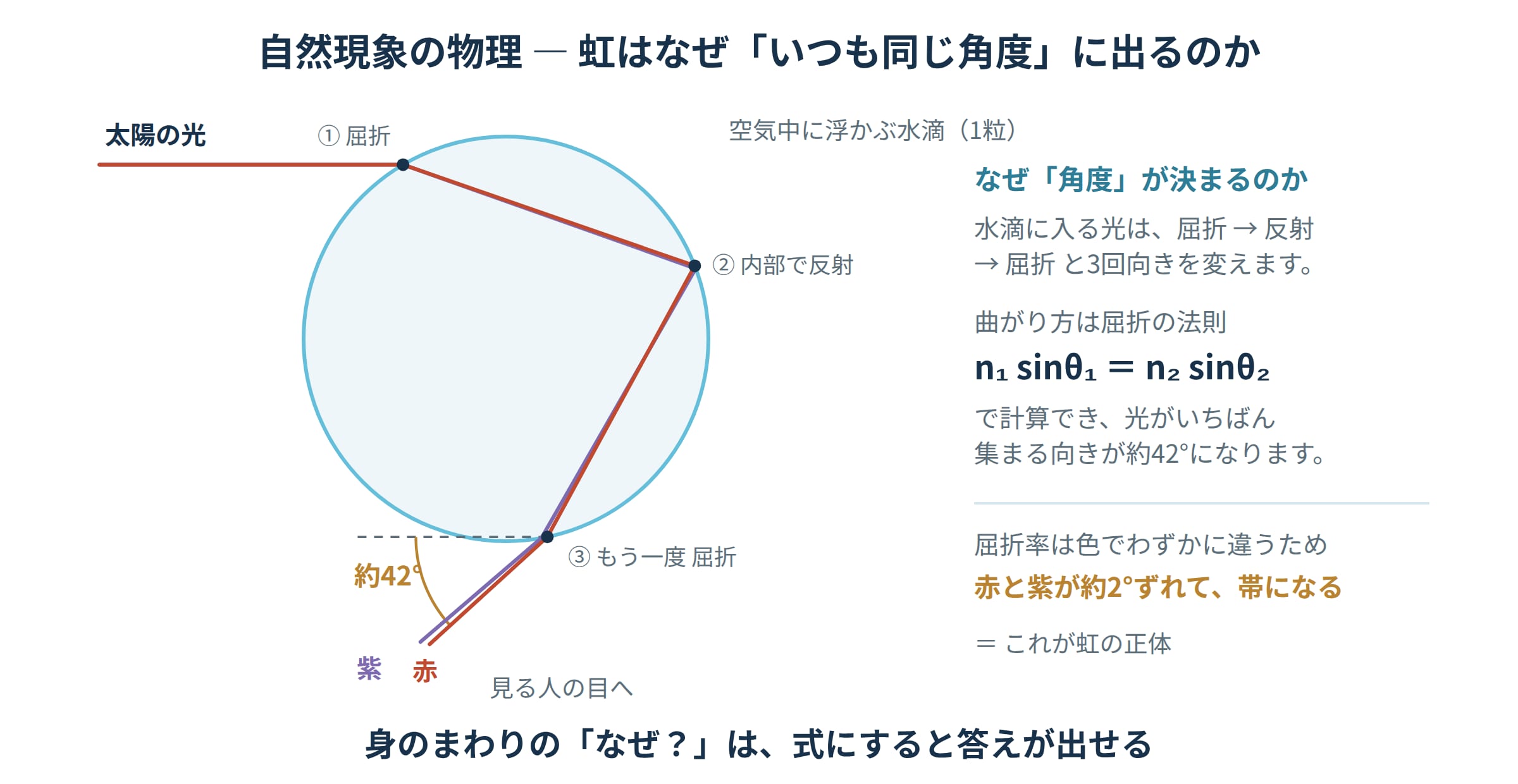 虹ができるしくみの図解。水滴に入った光が屈折・内部反射・屈折を経て、およそ42度の方向に最も強く出てくることを光線の追跡で示す