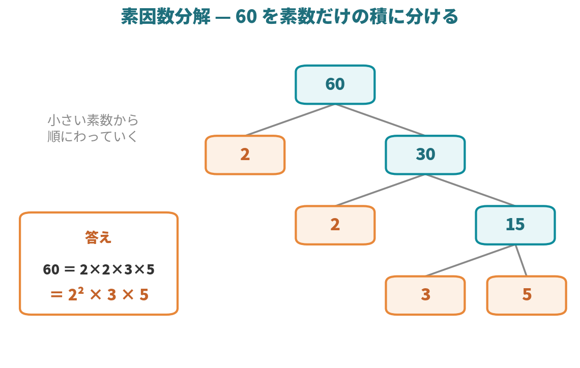 素因数分解のやり方を示した図解。60を2、2、3、5に分解していく手順