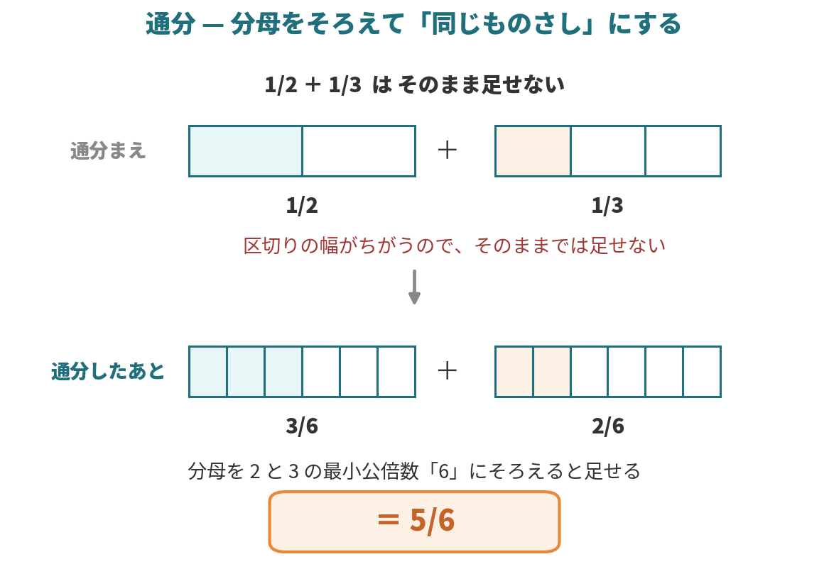 1/2と1/3は区切りの幅がちがって足せないが、分母を最小公倍数6にそろえて3/6と2/6にすると5/6と計算できることを帯グラフで示した図