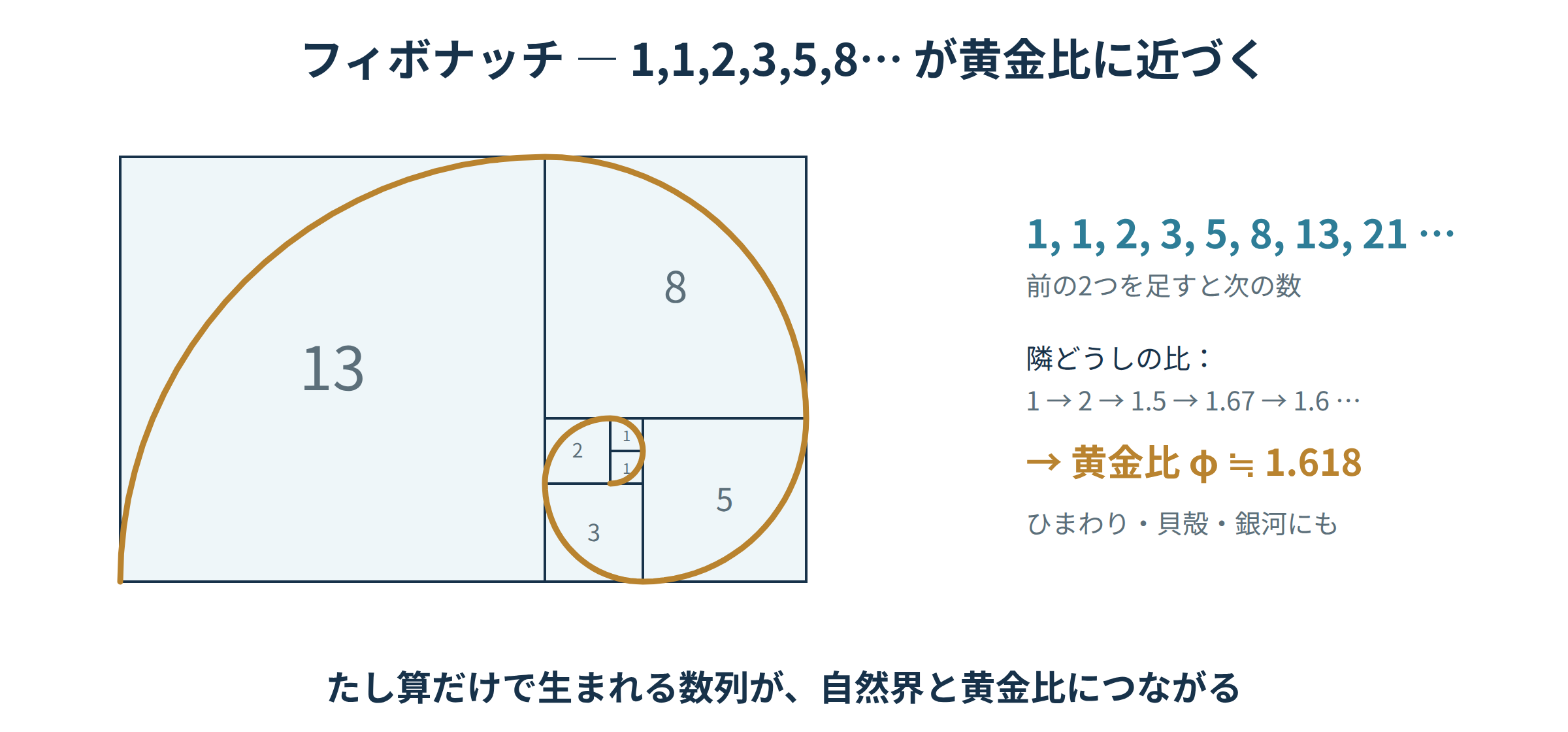 1,1,2,3,5,8,13の正方形で作るフィボナッチ螺旋と隣どうしの比が黄金比φ≒1.618に近づく図｜フィボナッチ数と黄金比の学び直し講座