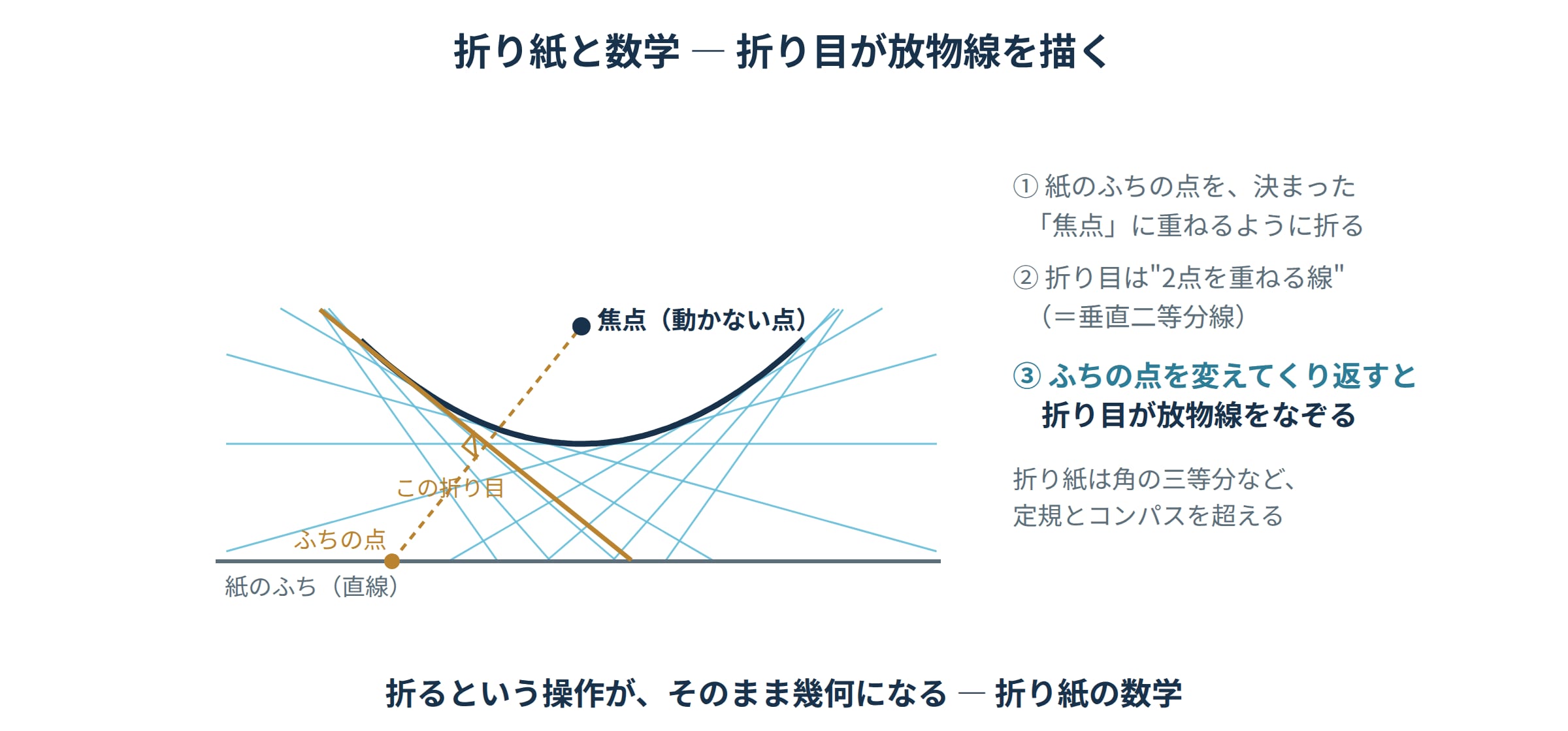 紙のふちの点を重ねる折りをくり返すと折り目が放物線を描く(包絡線)図|折り紙と数学の学び直し講座