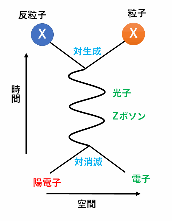 電子と陽電子の対消滅で光子またはZボソンが生じ、粒子と反粒子が対生成される様子