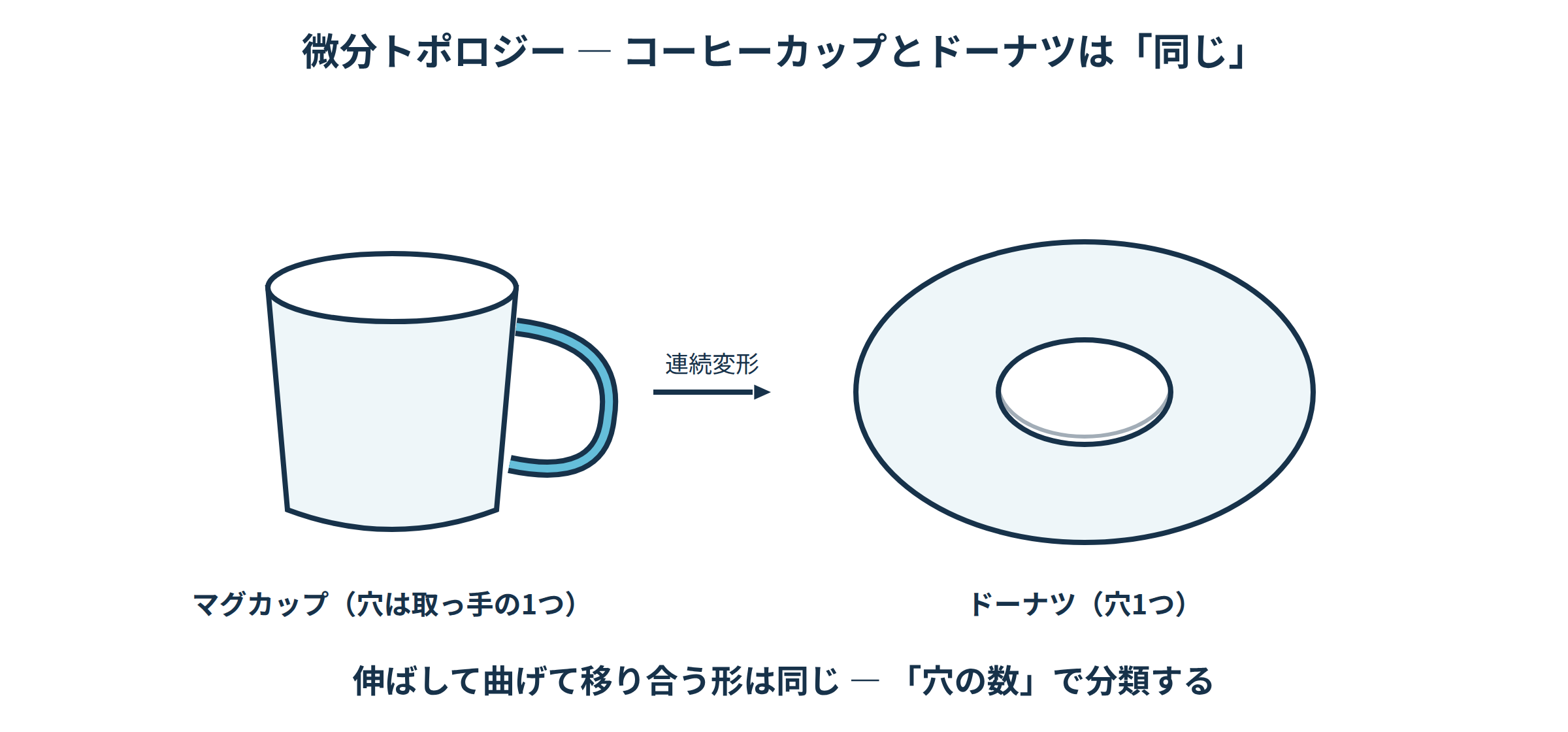 取っ手のあるマグカップと穴1つのドーナツが連続変形で移り合い同じ形とみなせる図|微分トポロジー入門の学び直し講座
